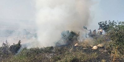 Bursa'da otluk yangınında 1,5 hektarlık alan yandı